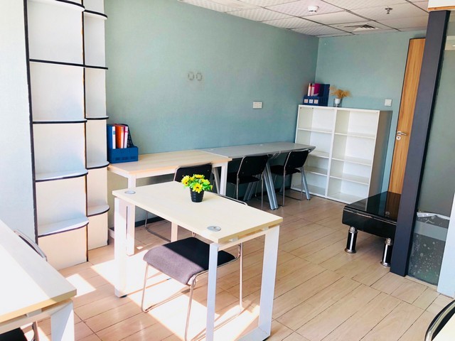 山东金刚网多少钱